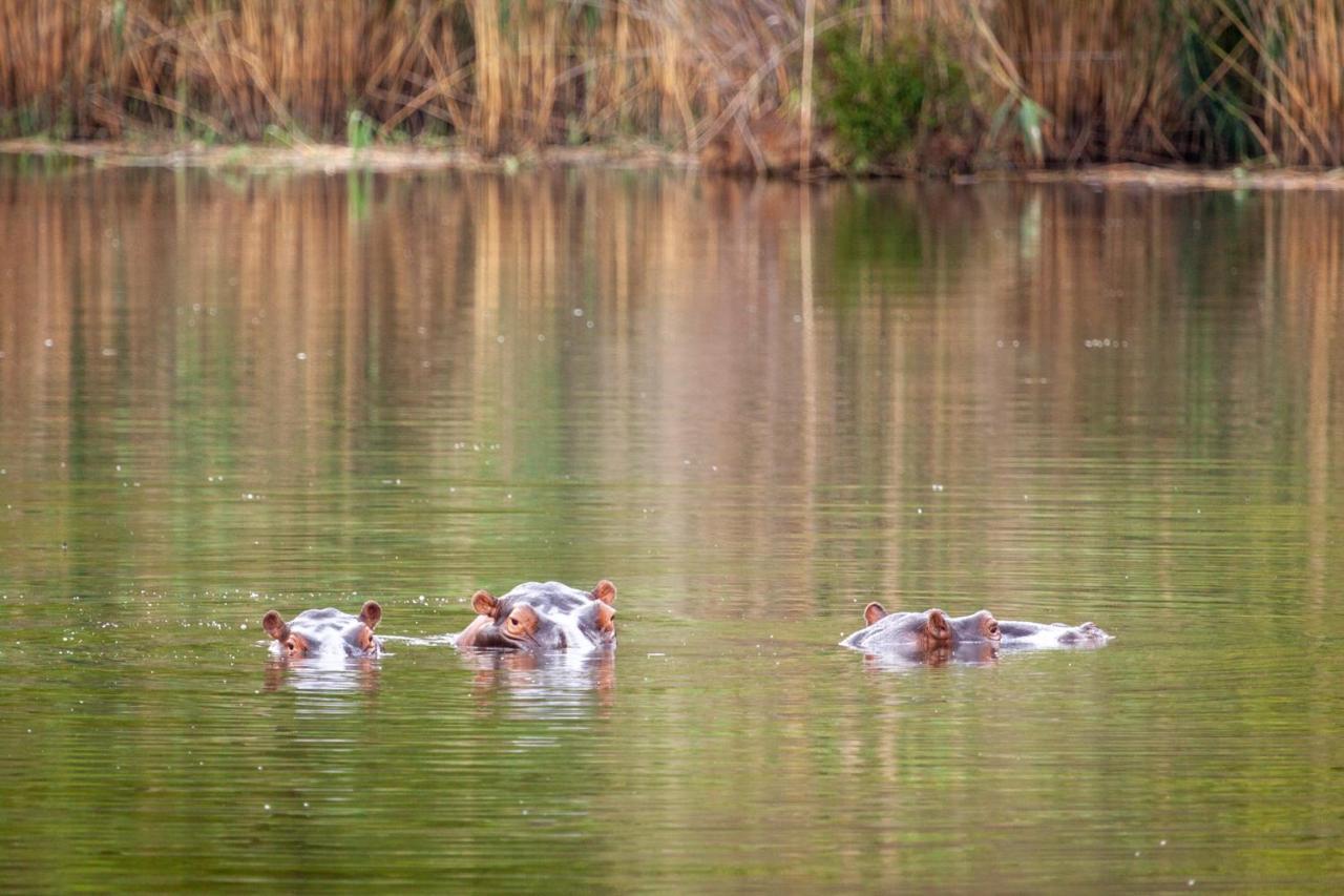 Lejwe La Metsi Private Reserve Bela-Bela Esterno foto